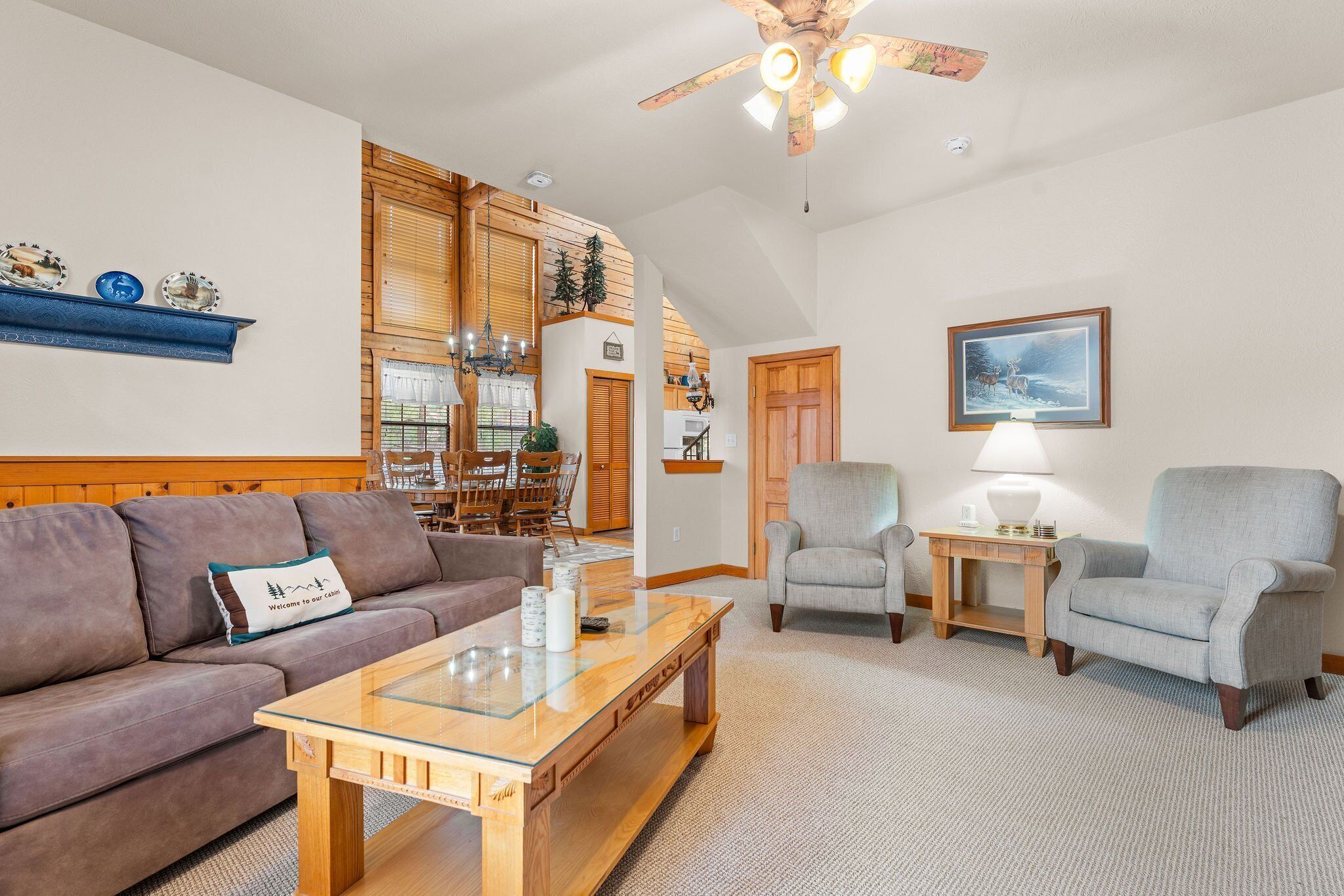 Smart TV, caminetto, lettore DVD