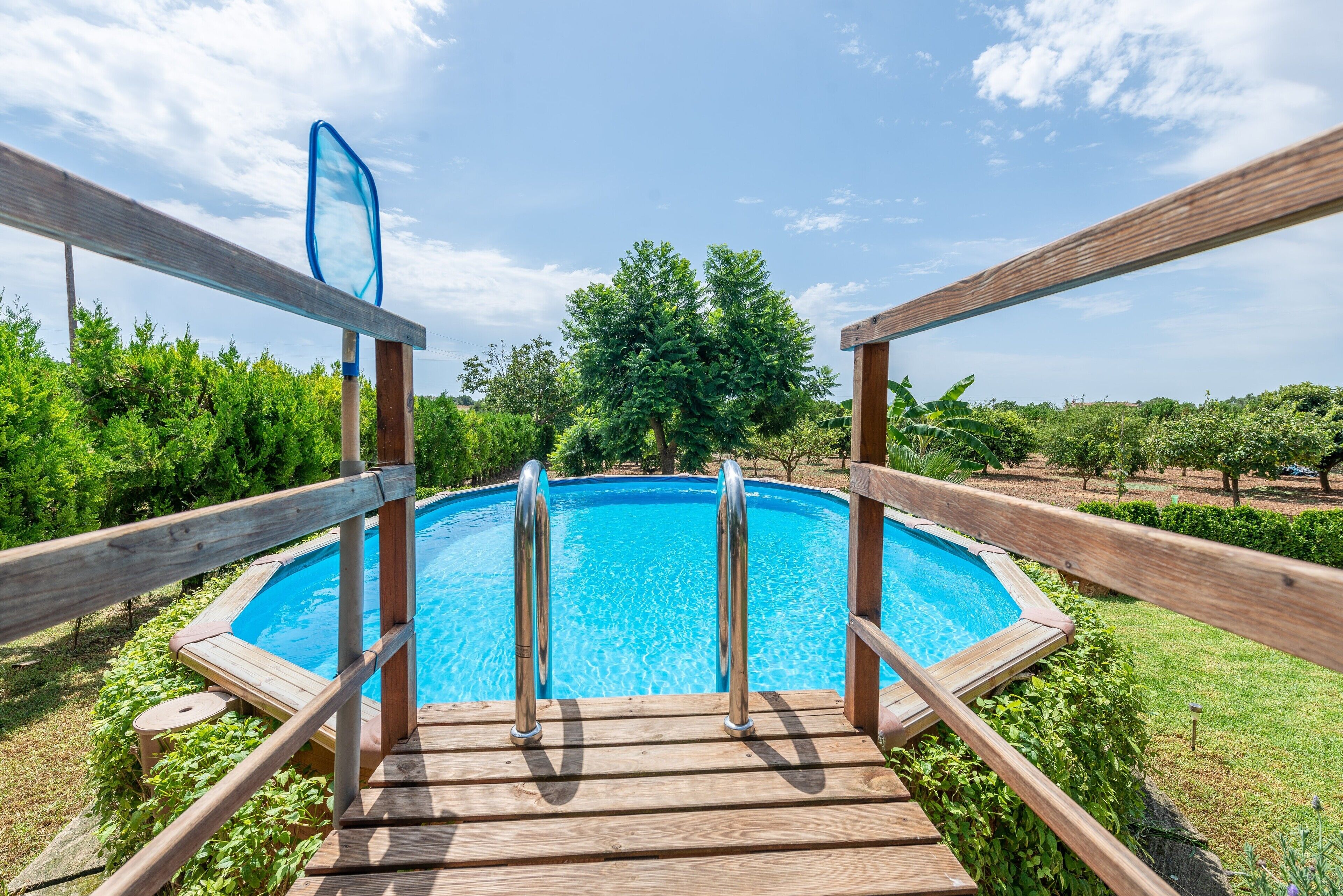 Un pontile in legno conduce a una piscina circondata da vegetazione e alberi.