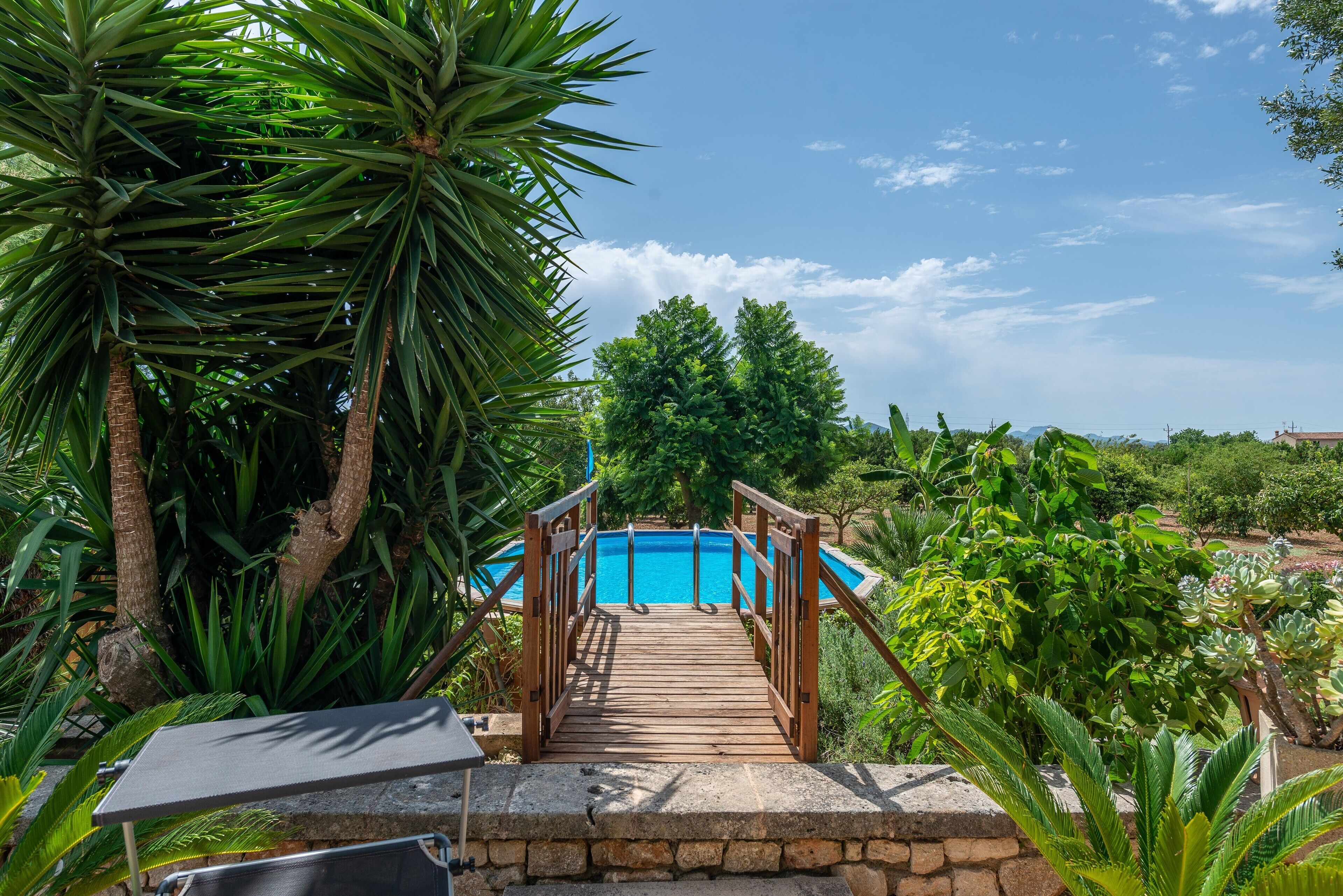 Eine Holzterrasse führt zu einem Pool, der von üppiger Vegetation und Bäumen umgeben ist.