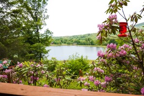 Property grounds - 7Bdr/5Bth, Amazing View, Lake/Swim. 1/2 ml Ski Hunter Resort, Hot Tub/Sauna.Golf (Lanesville, Hunter)