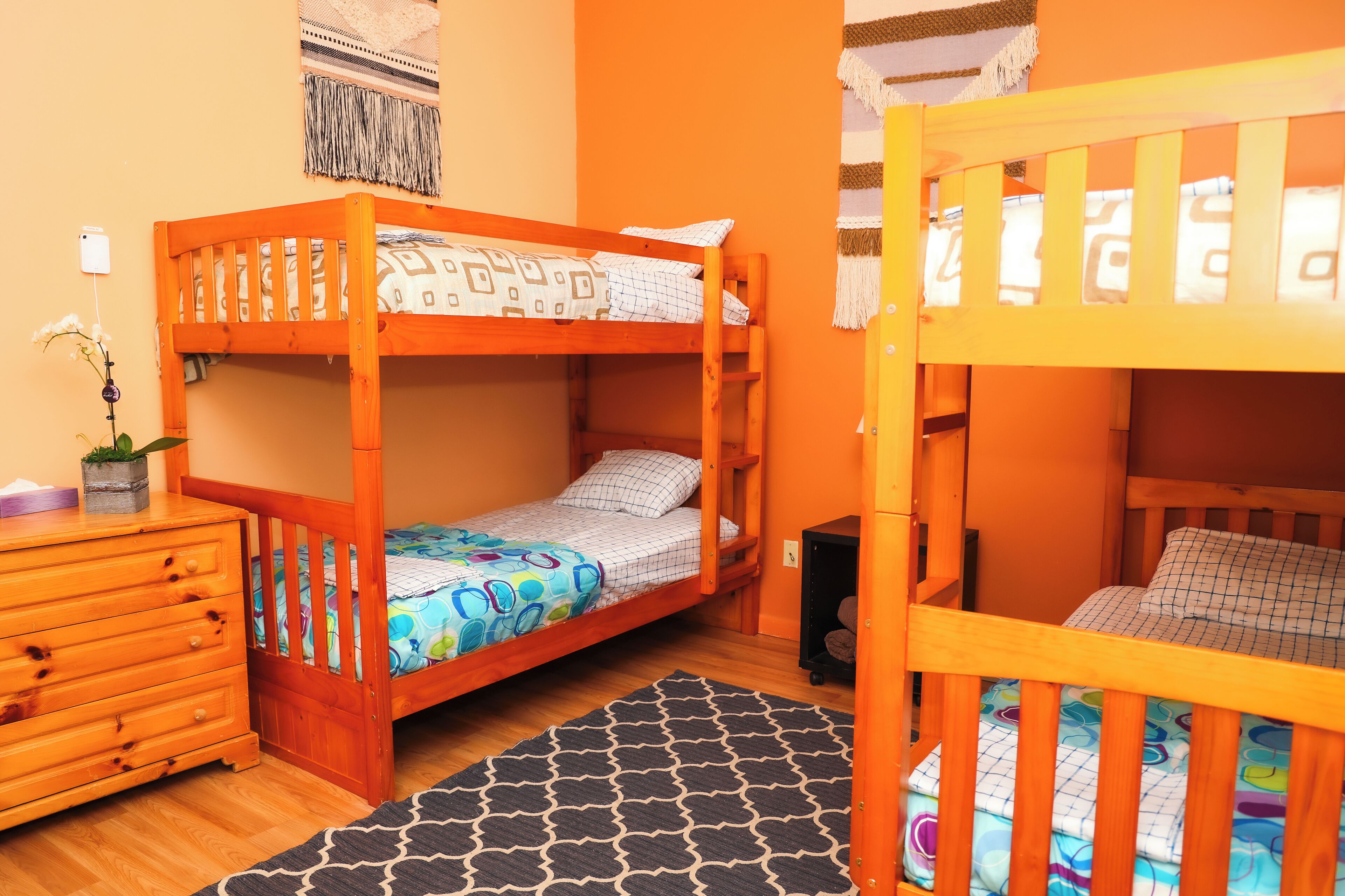 A room with two bunk beds, a wooden dresser, a patterned rug, and a small plant.