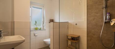 Shower, hair dryer, towels