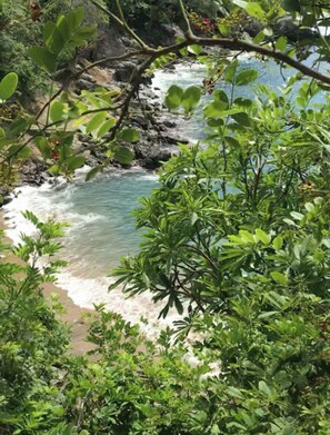 Escape to a serene natural oasis surrounded by lush greenery and a tranquil river.