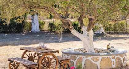 Olive Studios