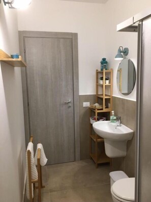 Shower, hair dryer, bidet, towels