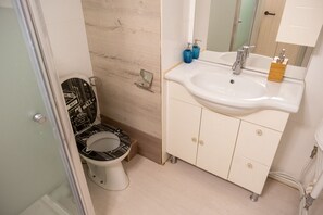 Douche, sèche-cheveux, serviettes fournies, savon