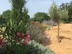 A garden with various plants and trees, including lavender and other flowering shrubs. - Gîte Ambroisie great comfort with a view on the vineyard (Mirepeisset)