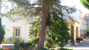 A building with a white facade, yellow window frames, and a large tree in front. There are potted plants along the pathway and a stone bench in the foreground.