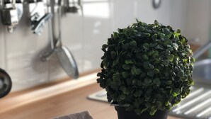 Uklassifisert bilde, 5 av 11, knapp