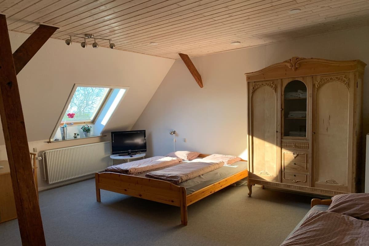 Een slaapkamer met een schuine kap, een bed, een televisie, een kledingkast en een raam met uitzicht op bomen.