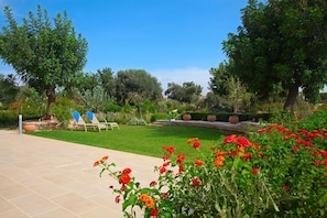 Parco della struttura