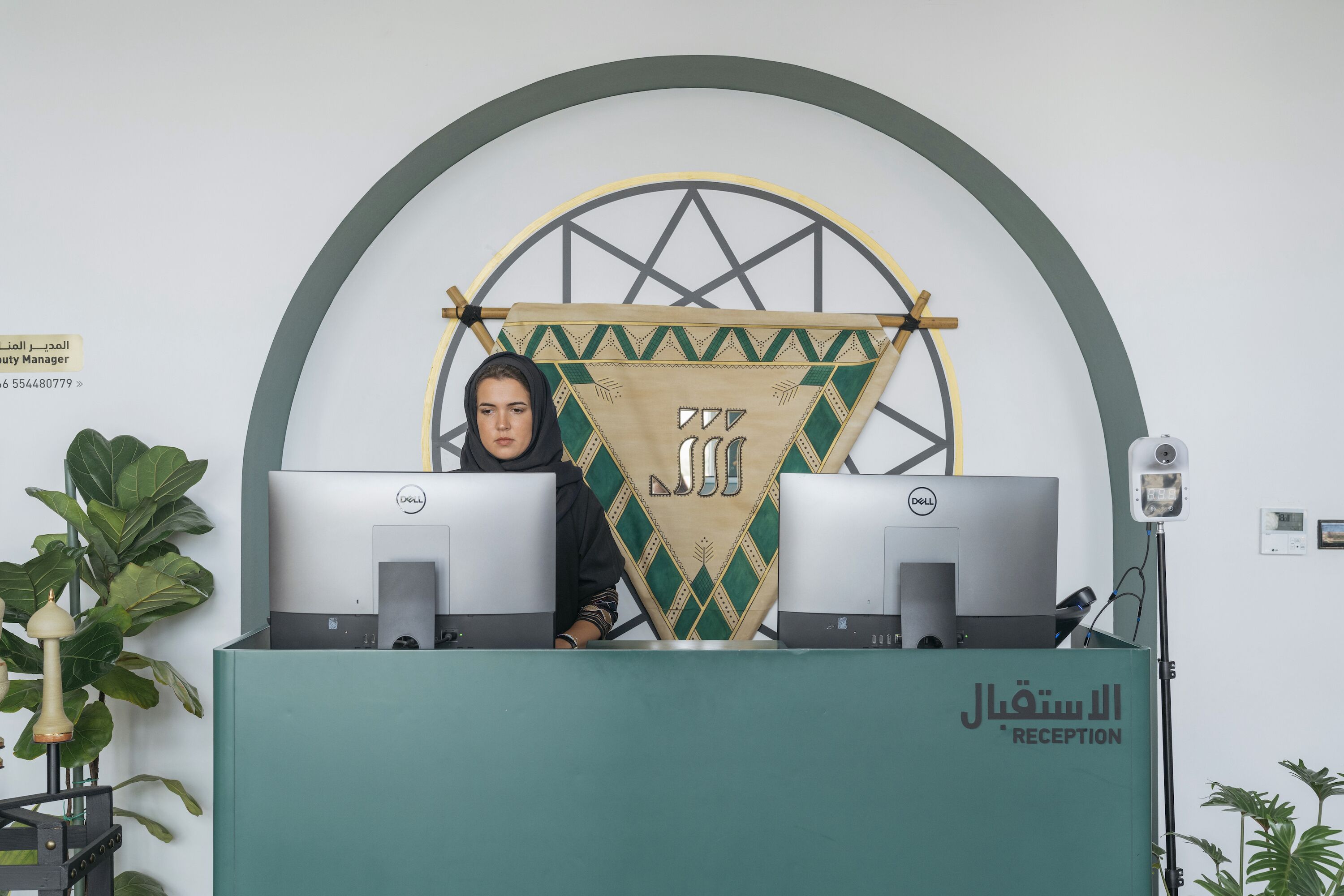 منطقة الاستقبال