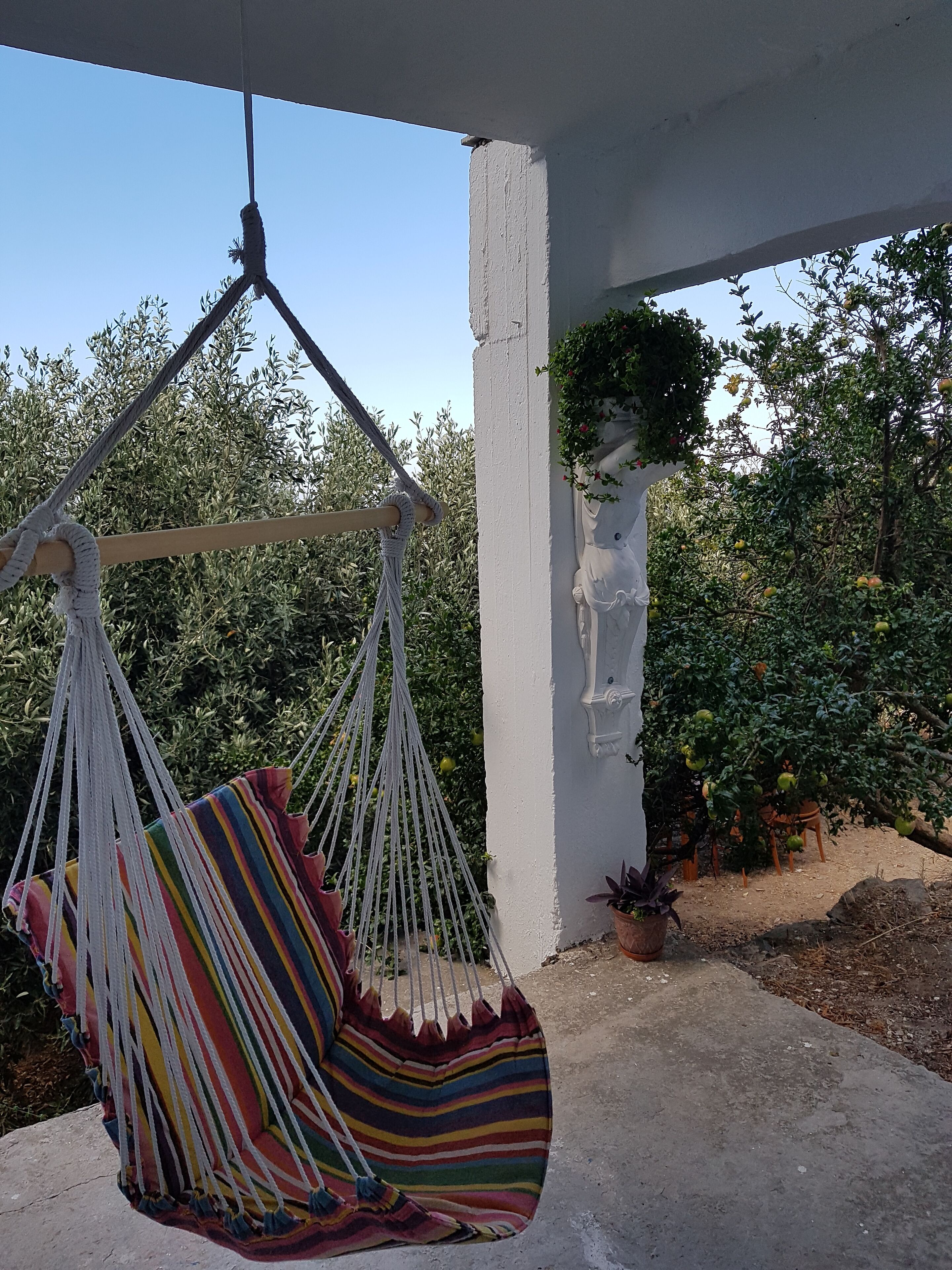 Un sillón hamaca con un cojín a rayas de colores, colgado de una estructura blanca en el techo, rodeado de follaje y una planta en maceta.