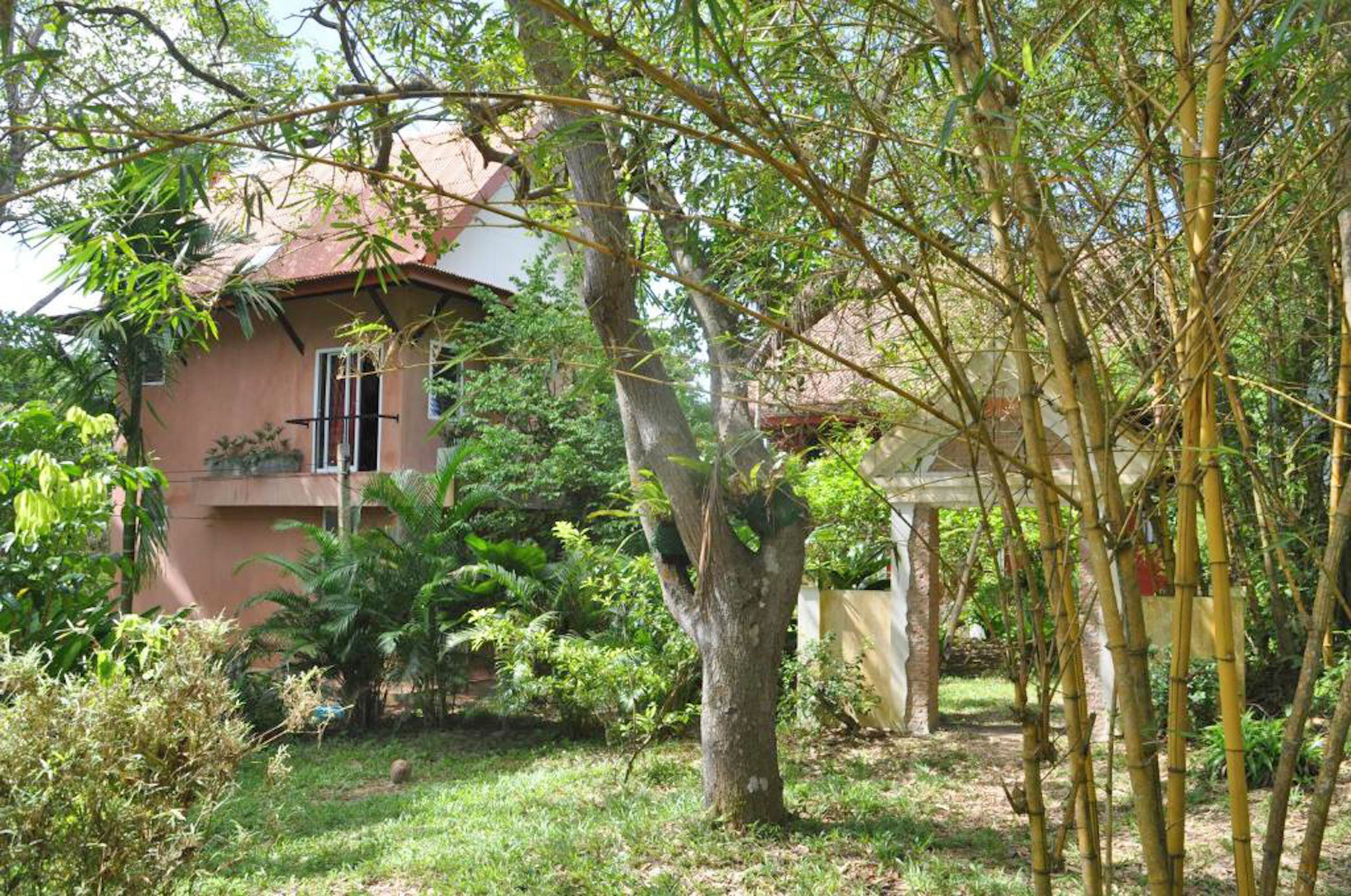 A house surrounded by lush greenery, including a large tree and bamboo.