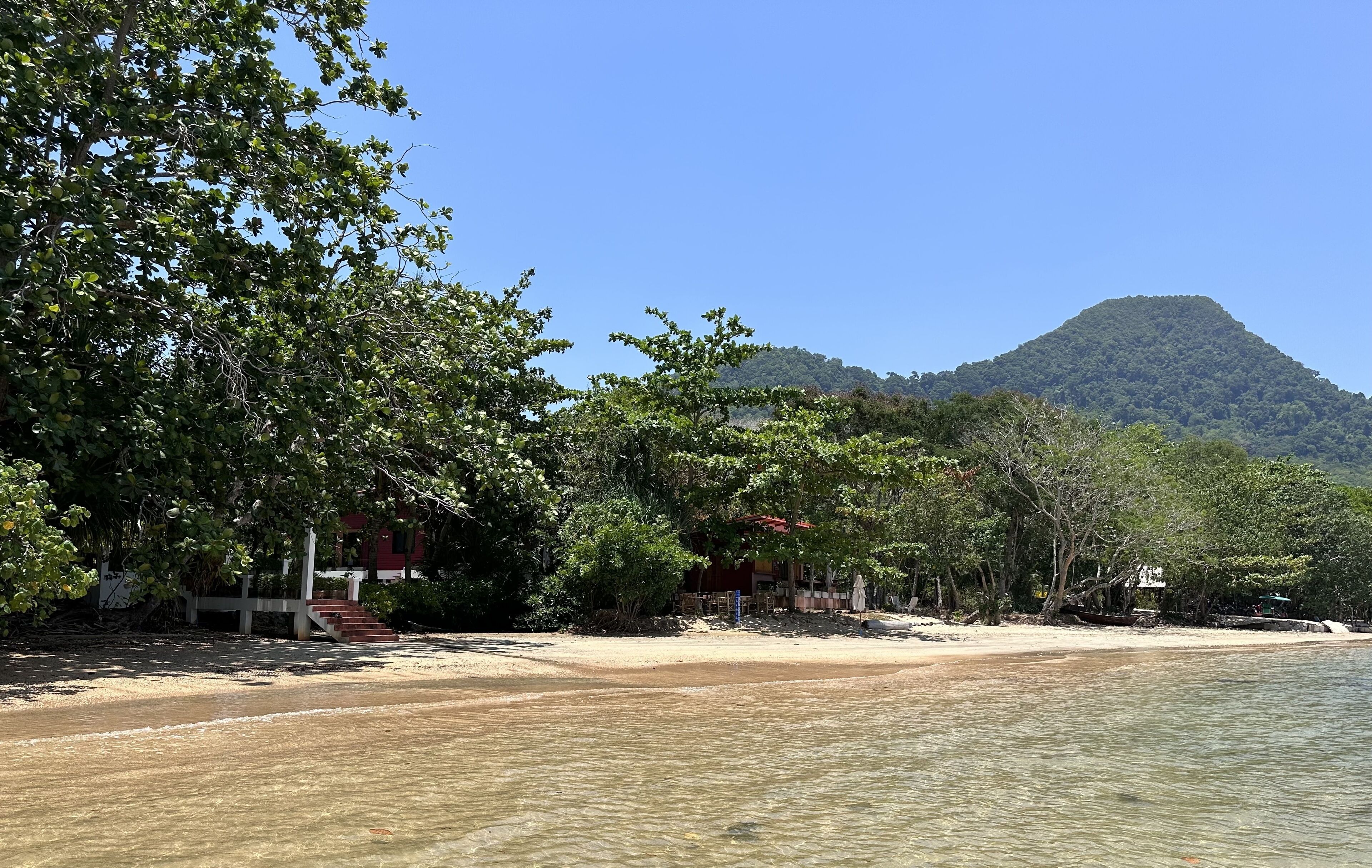 A beach with clear water, a mountain in the background, and trees along the shore.