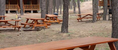 A campground with wooden picnic tables and cabins with red roofs.