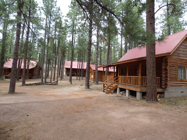 A cabin-style lodging area with multiple wooden cabins surrounded by tall pine trees. - Circle Pine Ranch-"The Real Log Cabin Experience" (Alpine)