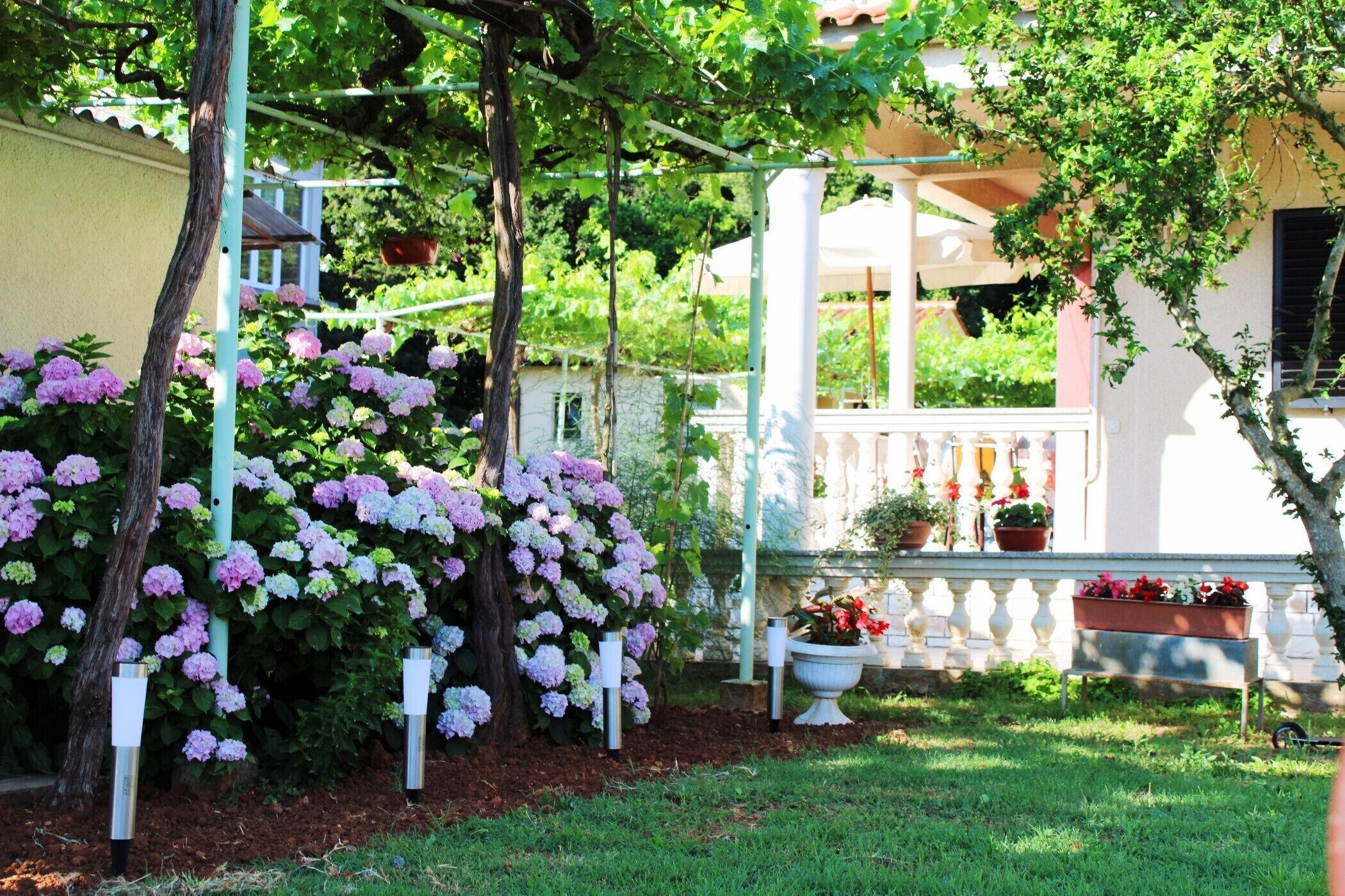 A garden with a pergola, flowering plants, and a white fence.