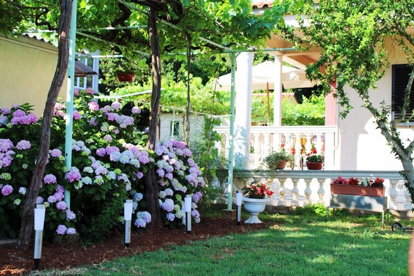 A garden with a pergola, flowering plants, and a white fence.
