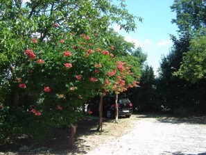 Parco della struttura