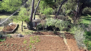 A garden with various plants and trees, a small structure, and a fenced area.