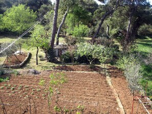 Property grounds - Lovely apartment in Pula,for 2-4 person, walking distance away from the down town (Pula)