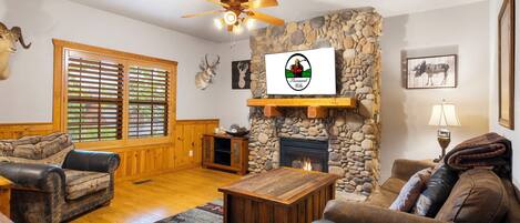 Smart TV, chimenea y reproductor de DVD