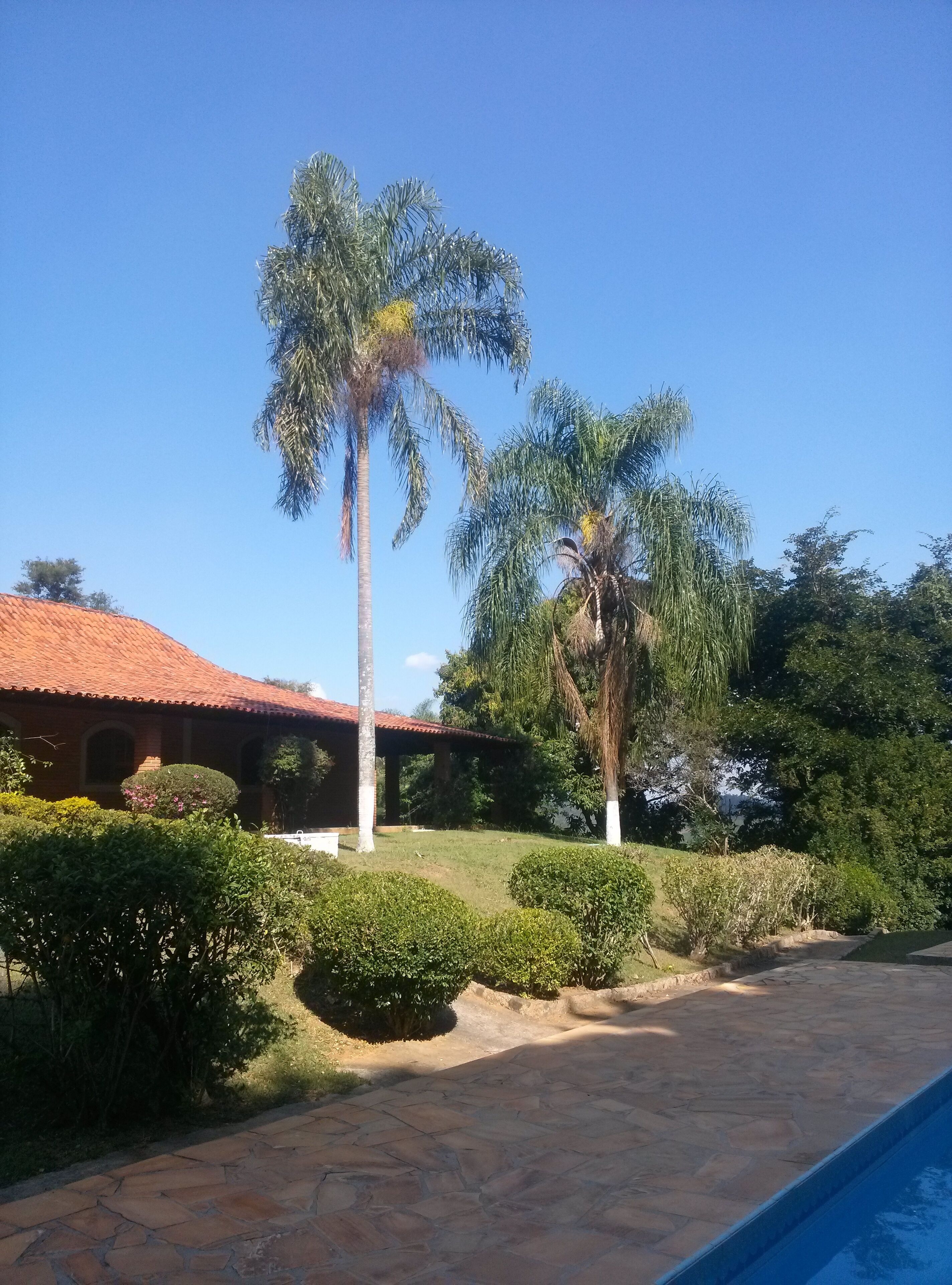 A building with a red-tiled roof, surrounded by well-maintained bushes and palm trees.