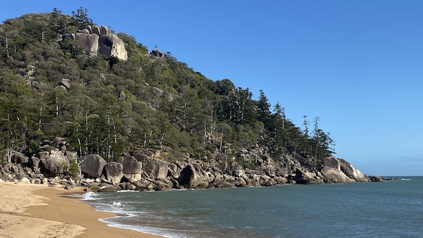 Una playa con un acantilado rocoso y árboles.
