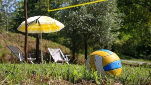 Una pallavolo su erba con una rete gialla e blu sopra.