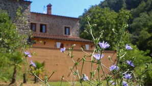 Un edificio in pietra con tetto in tegole e numerose finestre, circondato da vegetazione e fiori.