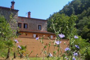 Property grounds - The Valley of the Chestnut Trees - the Village (Pescia)