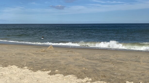 Une plage avec un rivage sablonneux, des vagues et un ciel dégagé parsemé de nuages.