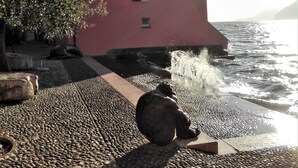 Un edificio con fachada roja, un sendero de piedras y una masa de agua.