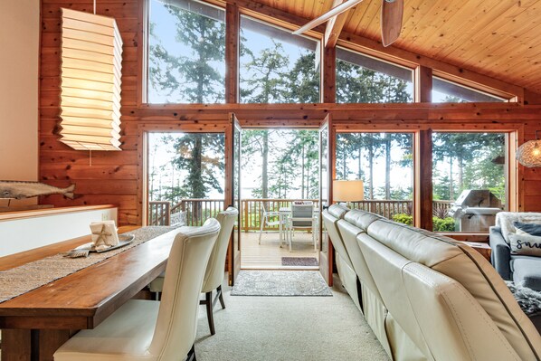 TV, fireplace, video games, DVD player