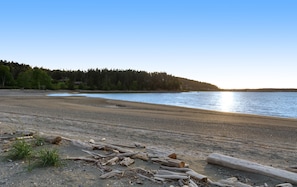 A beach with driftwood and logs on the sand, a calm sea, and a forested hillside in the background.