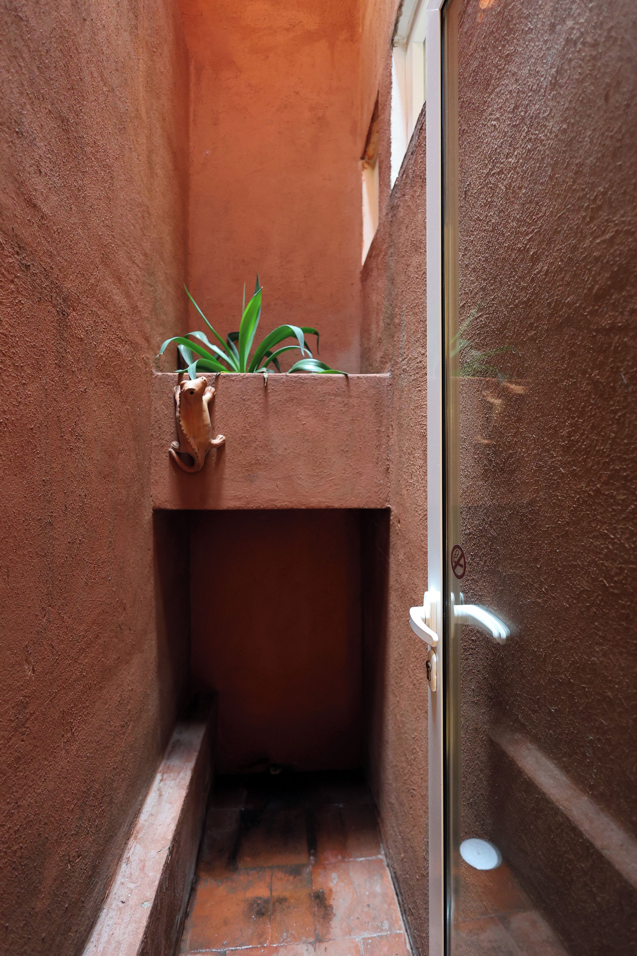 A narrow hallway with a small plant in a planter, a door with a handle, and a tiled floor.
