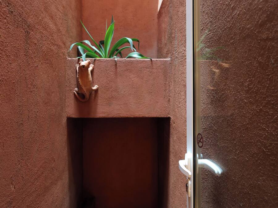 A narrow hallway with a small plant in a planter, a door with a handle, and a tiled floor.