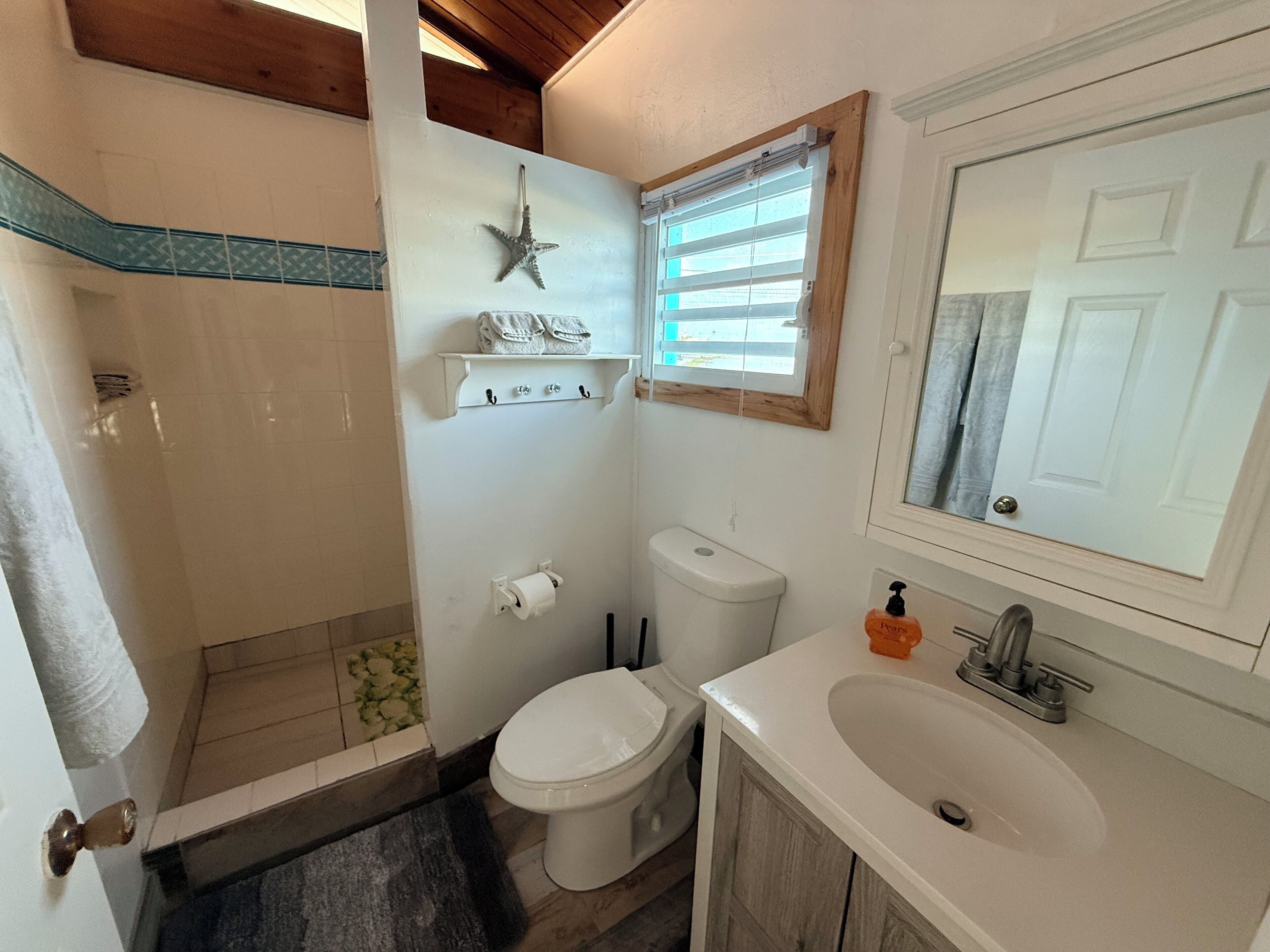 Shower, hair dryer, towels, soap