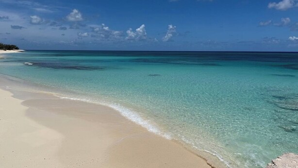 A beach with clear turquoise water and a sandy shore. - Beachside Studio with Car (Grand Turk)