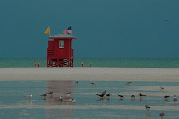 Beautiful Siesta Beach