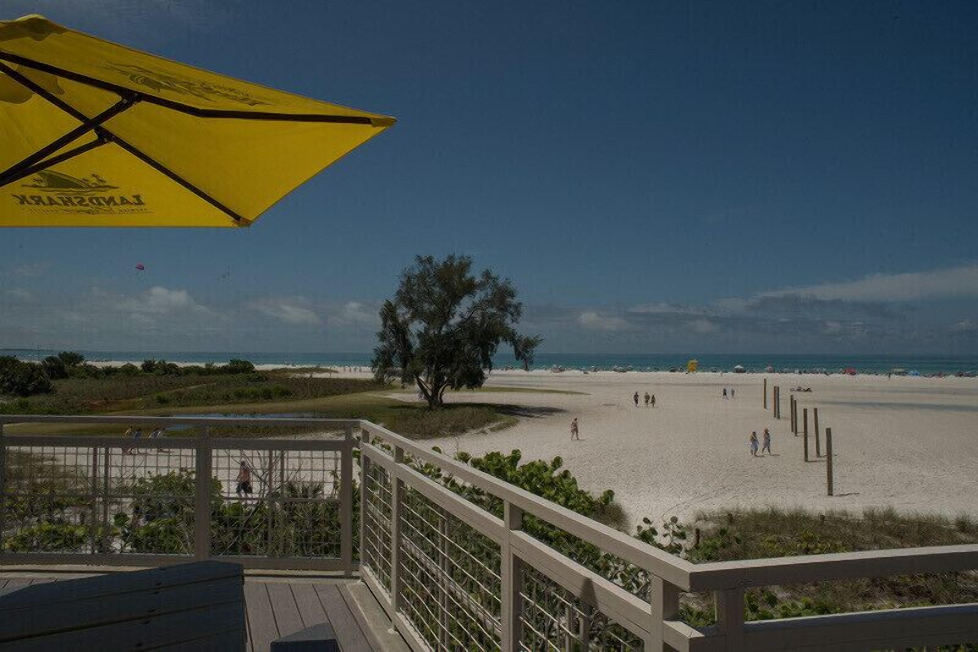 Vista de la playa desde una terraza con un paraguas amarillo, un árbol y gente en la arena.
