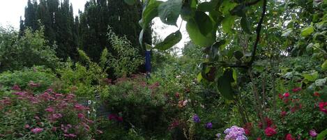 Overnatningsstedets område