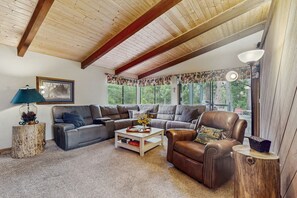 TV, fireplace, DVD player, video library