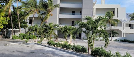 A modern building with the name 'Zenza' on the facade, surrounded by palm trees and a paved courtyard.