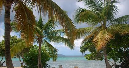 Renovated Oceanfront Condo with AMAZING views! St. Thomas, VI.