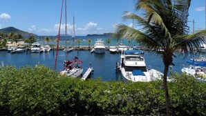 Un puerto deportivo con barcos amarrados, rodeado de vegetación y palmeras.