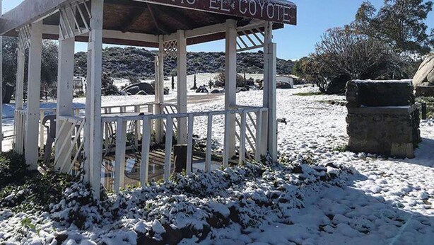 Terrace/patio - El Coyote Ranch (El Coyote)