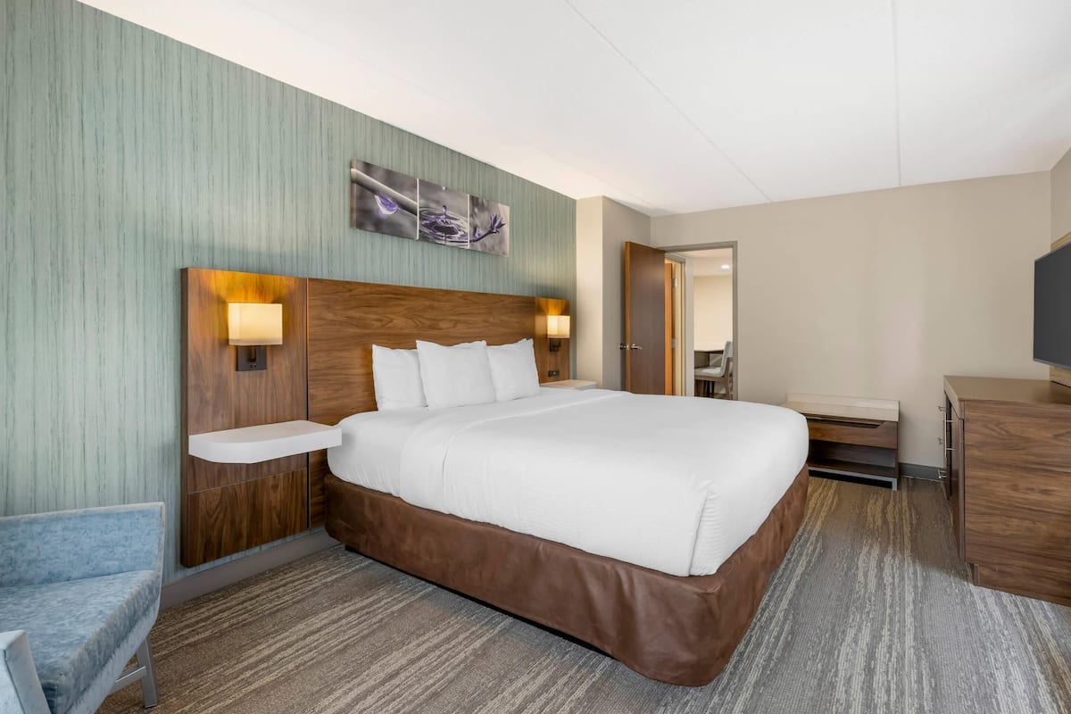 Suite, 1 kingsize bed, niet-roken (Efficiency, Upgrade) | Een bureau, verduisterende gordijnen, geluiddichte muren