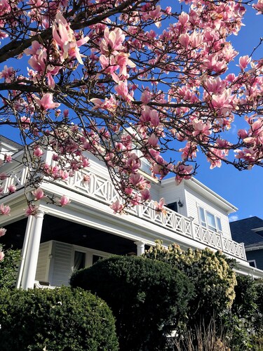 Historic Victorian by the Sea